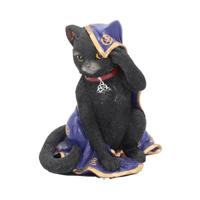 black cat with purple and gold pentacle cloak