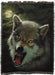 Tapestry blanket with art by Vincent Hie showing a gray werewolf with gold eyes snarling under a full moon