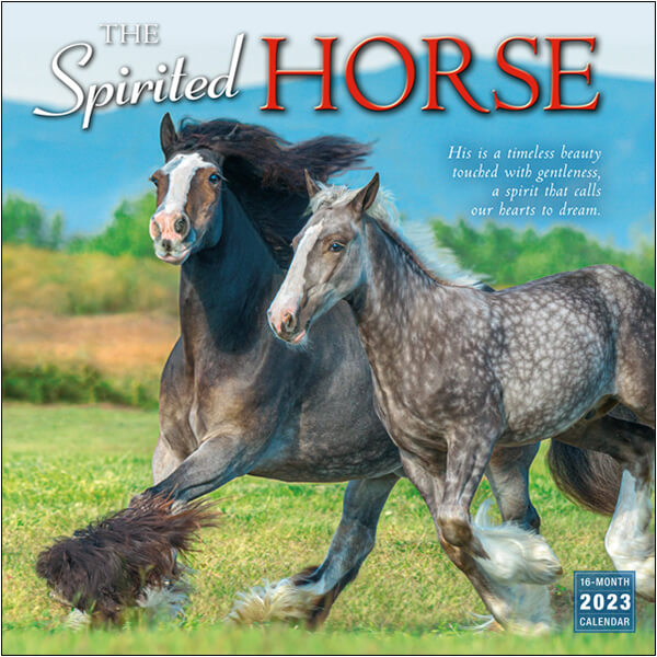 2023 Spirited Horse calendar