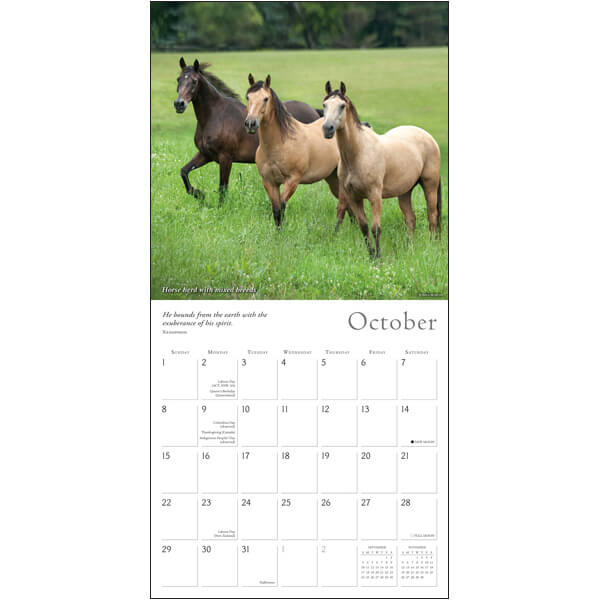 2023 Spirited Horse October pages