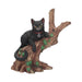 Black cat with pentacle collar sitting on ivy-covered tree trunk