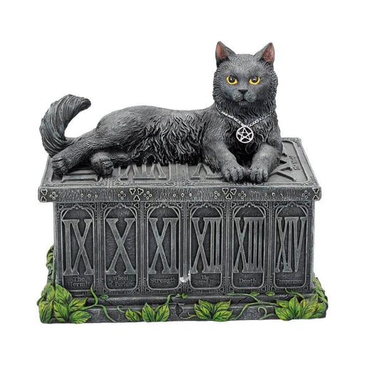 Cat box with Roman Numerals, perfect for storing tarot cards. The black cat has a pentacle collar and gold eyes