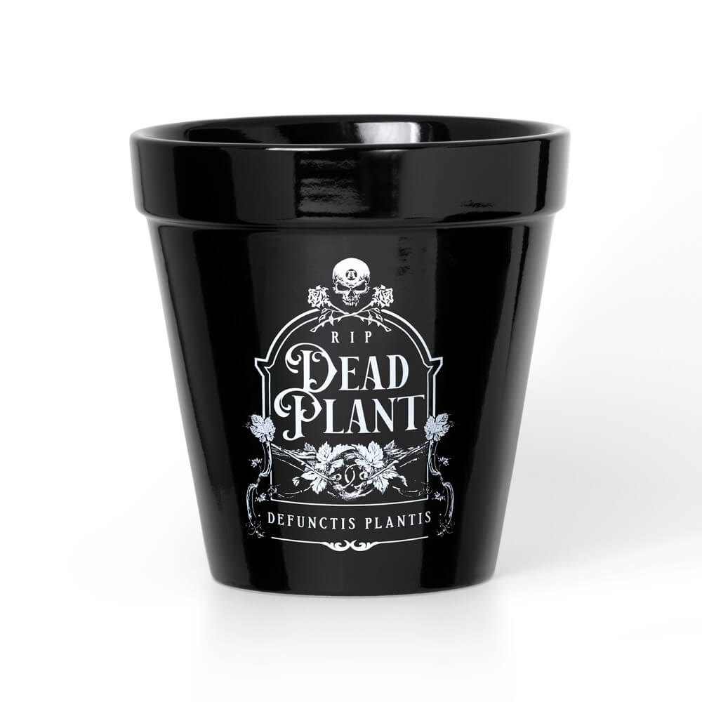 dead plant pot Alchemy England - Dead Plant