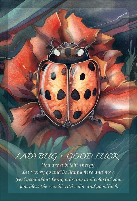 Card example: "Ladybug - Good Luck - You are a bright energy. Let worry go and be happy here and now. Feel good about being a loving and colorful you. You bless the world with color and good luck." Showing a red ladybug on a flower