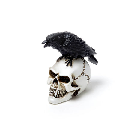 Miniature figurine of a black raven on a white human skull