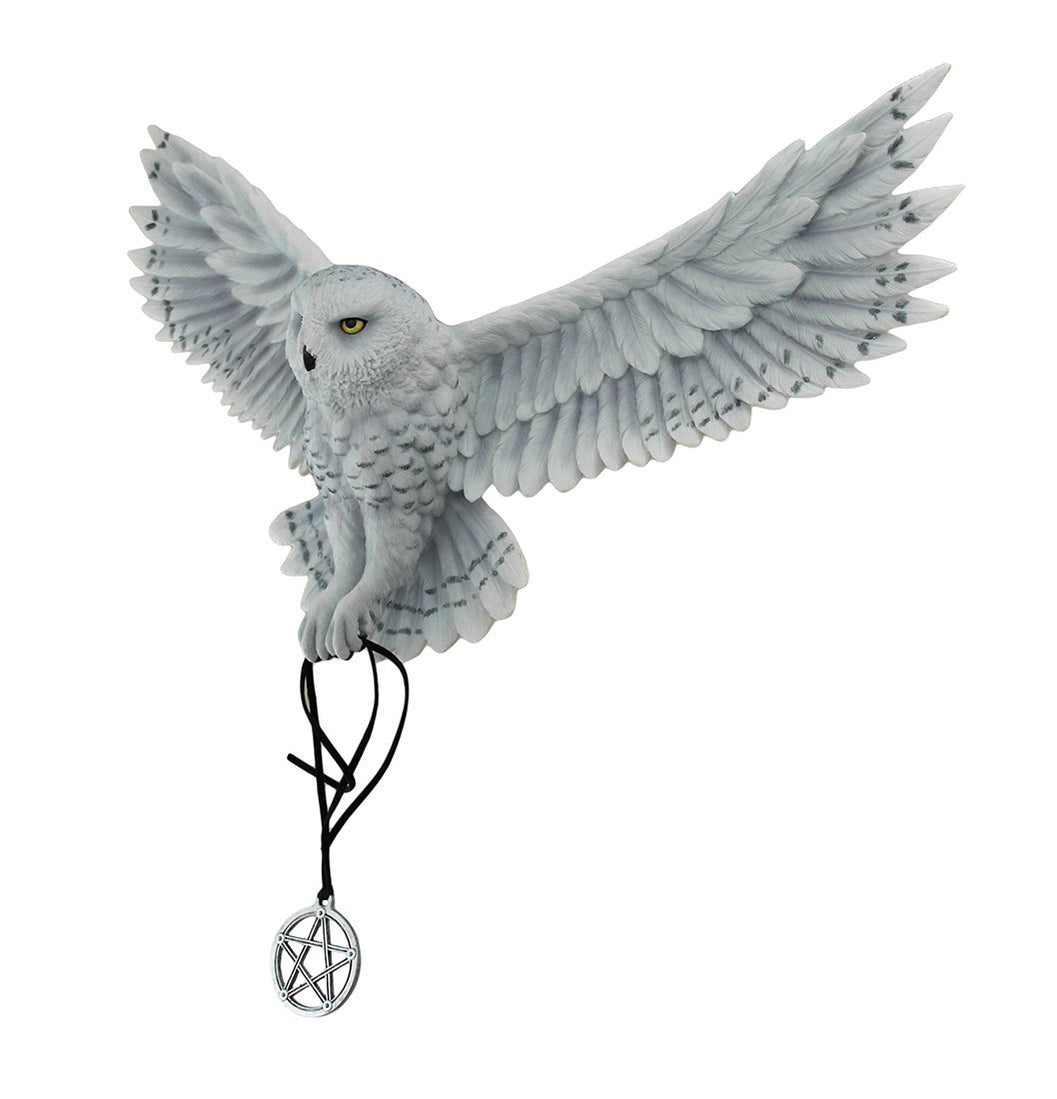 Awaken Your Magic Owl Embossed Purse 18.5cm