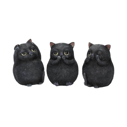 Pudgy black cats showing Hear No Evil, Speak No Evil, See No Evil