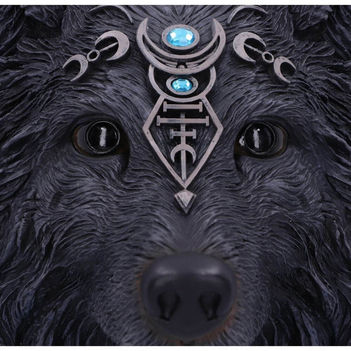 Closeup of the black wolf face with shining eyes and elaborate celestial designs, accented with blue gems