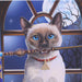 Close up of the Siamese cat's blue eyes and trinity knot collar