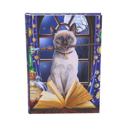 Hocus Pocus journal featuring a blue eyed Siamese cat in front of an open book, with a crystal-topped wand in its mouth. Potions beside and a full moon behind