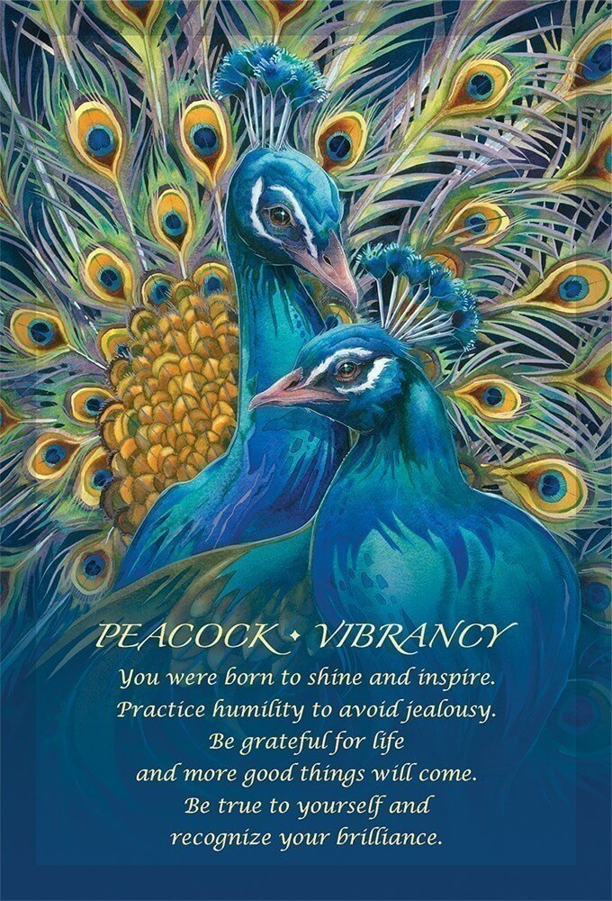 Card example "Peacock - Vibrancy - You were born to shine and inspire. Practice humility to avoid jealousy. Be grateful for life and more good things will come. Be true to yourself and recognize your brilliance." Showing two bold peacocks