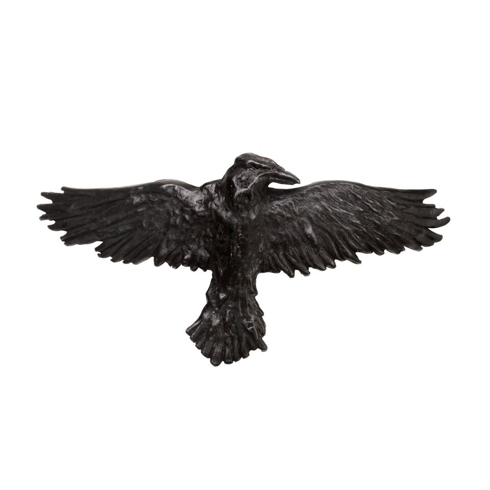 Black Raven Hair Slide