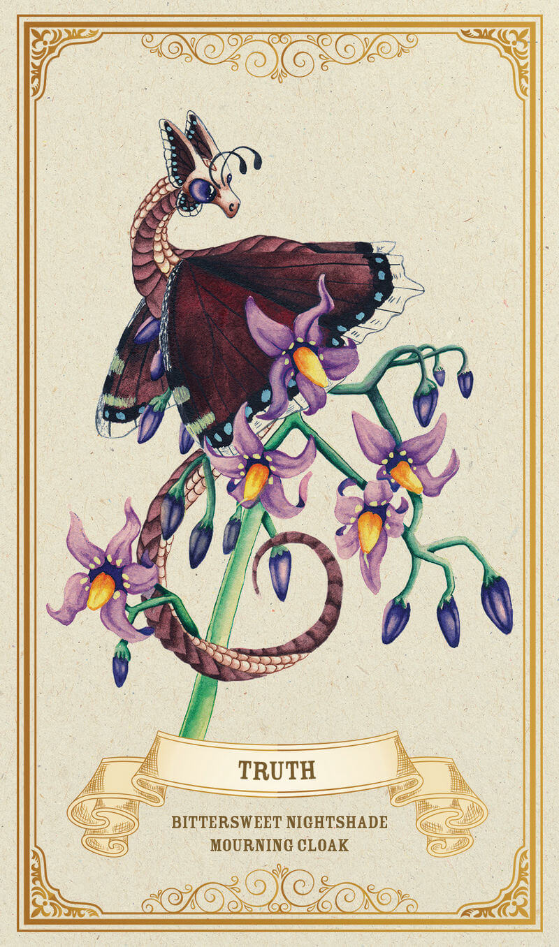 Card example for Truth with Bittersweet Nightshade plant and Mourning Cloak Butterfly Dragon