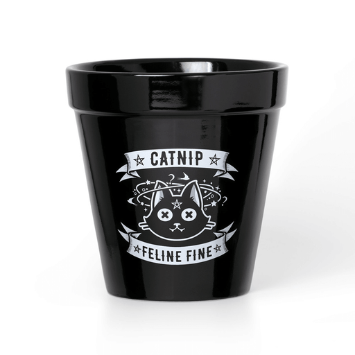 Black ceramic flower pot with a cat, featuring the words "Catnip" and "Feline Fine"
