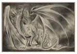 Coldfire Dragon 12x18 Metal Sign or Wood Wall Art
