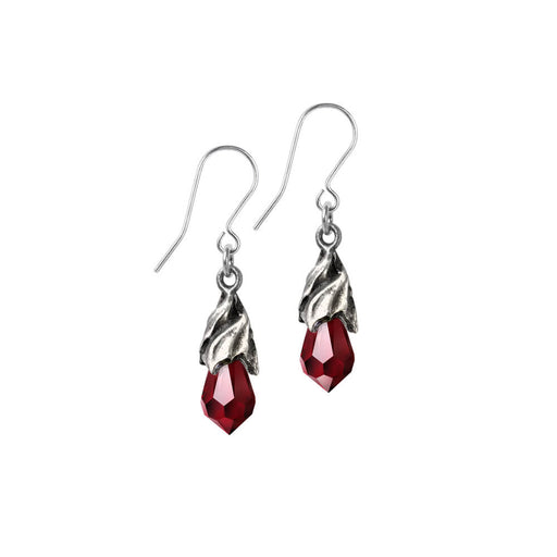 Heart Alchemy Earrings - La Serenidad Heart Alchemy Earrings - La Serenidad