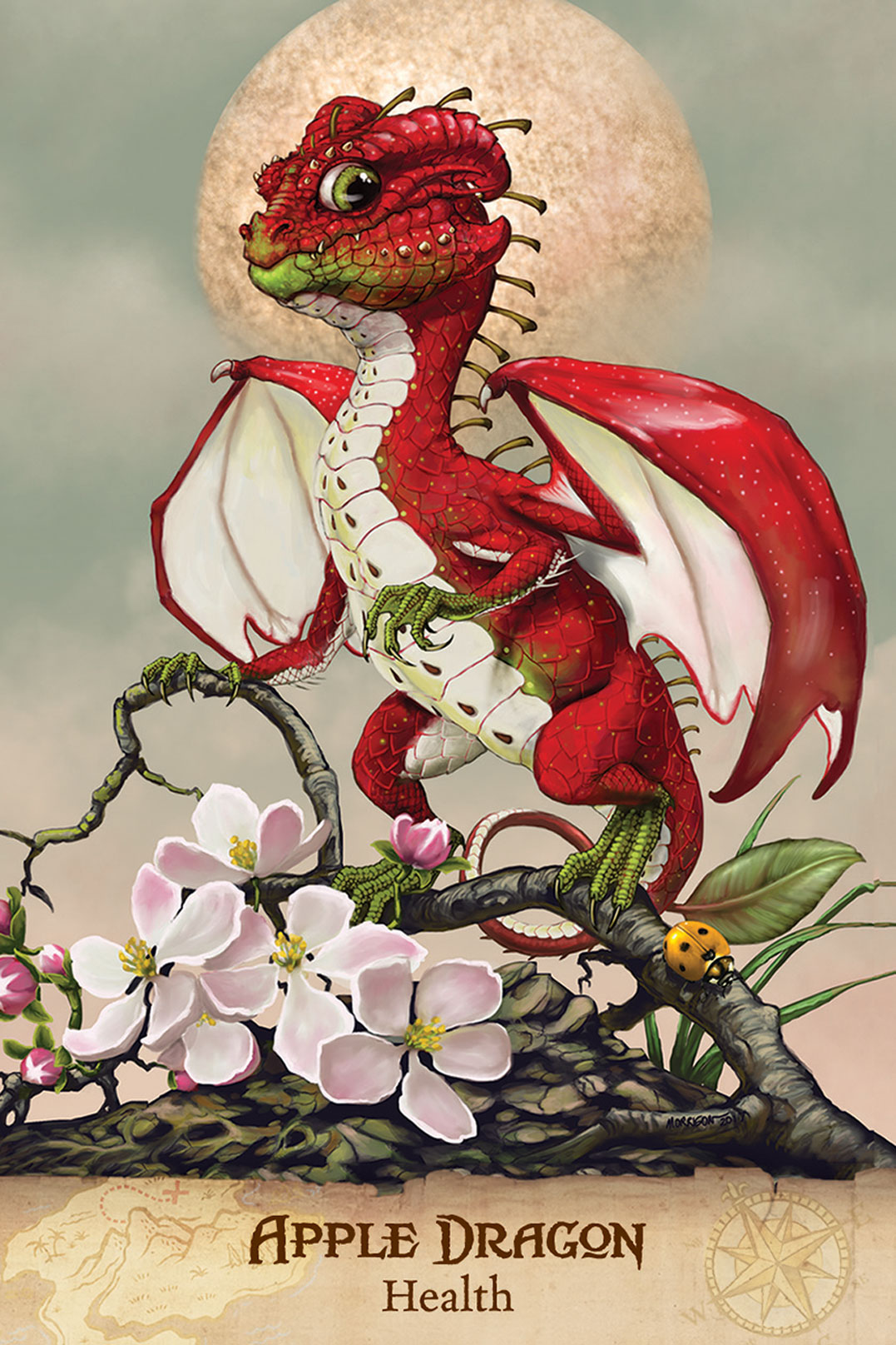 Field Guide to Garden Dragons