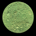 Shiny other side of the green full moon coin