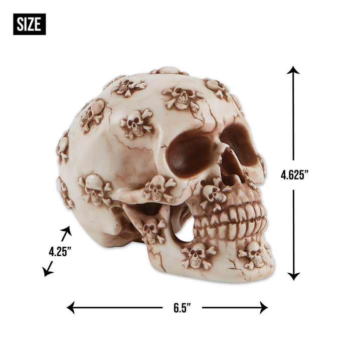 Skull size - 4.25" x 6.5" x 4.62"