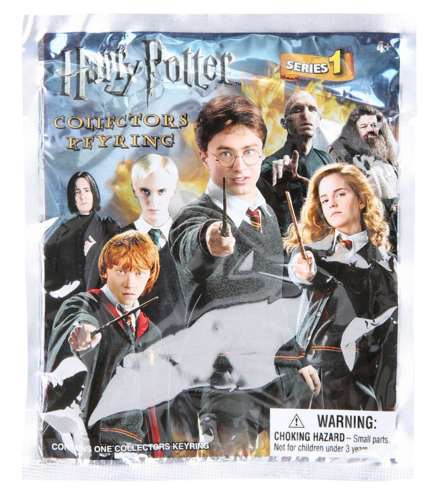 Harry potter store keychain blind bag