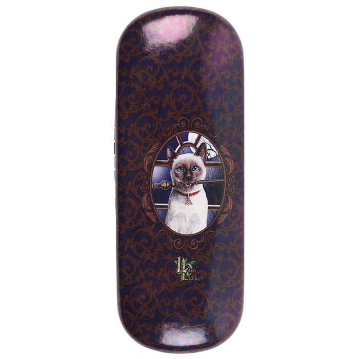 Back of glasses case with swirls and small cat picture