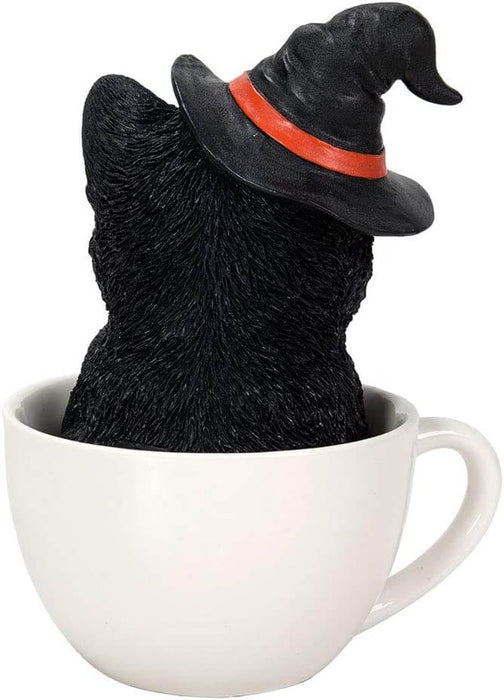 Black kitten in a white teacup. Cat wears a witch hat. Back view
