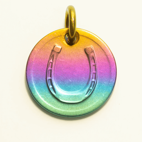 Rainbow lucky coin charm showing horseshoe