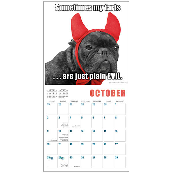 Mutt Memes 2022 Wall Calendar