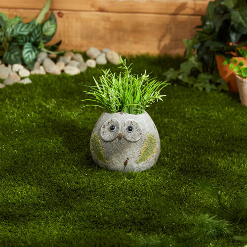 Owl flowerpot shown in daytime with plants