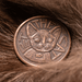 Decision Maker coin with a cat face and "Pet the Cat" on one side, copper
