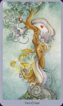 Shadowscapes Tarot Deck