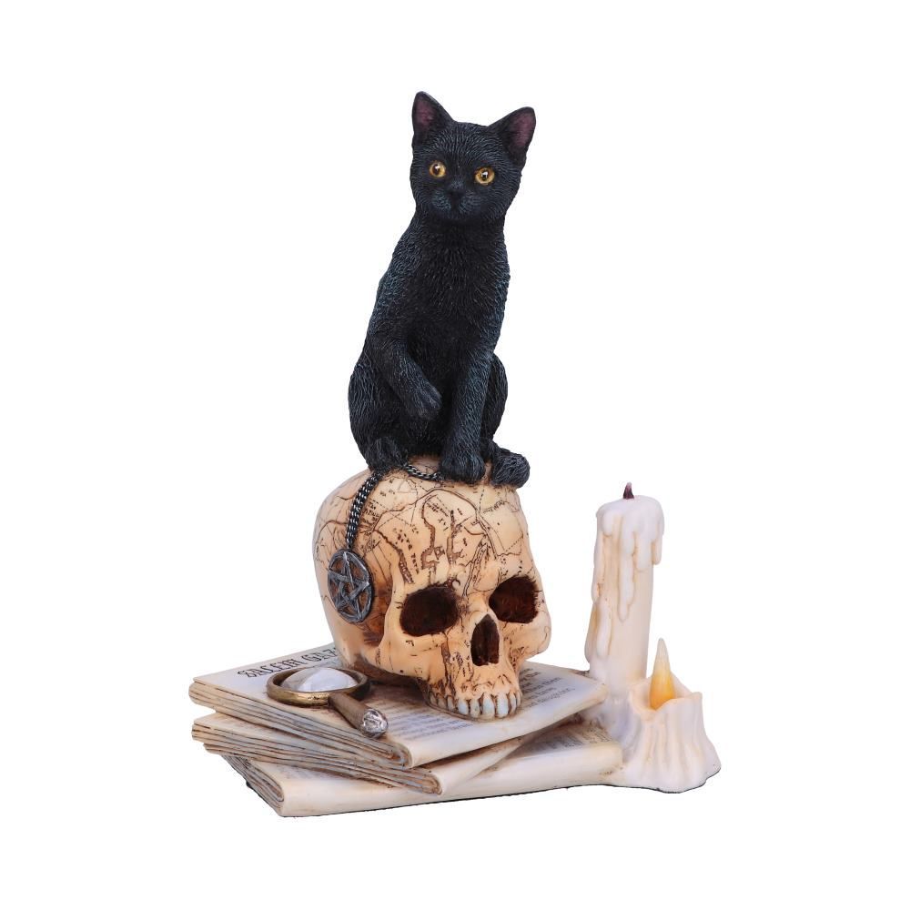 Spirits of Salem Figurine by Lisa Parker - Black Cat Gift