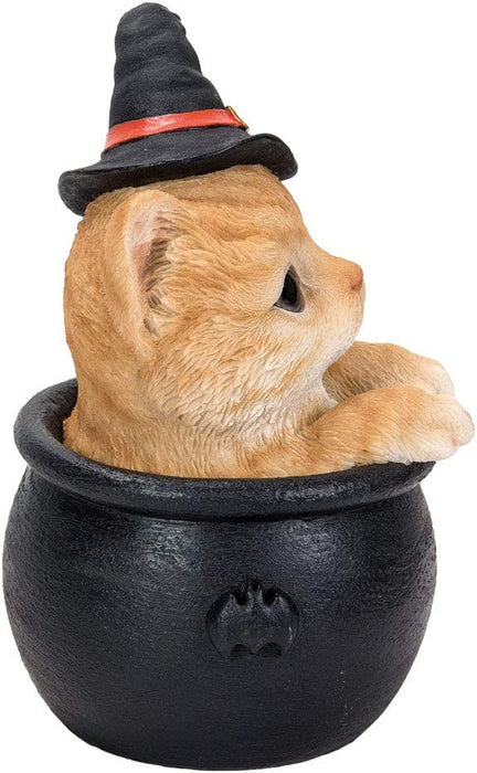 Orange tabby kitten in a witch hat, sitting in a black cauldron, side view
