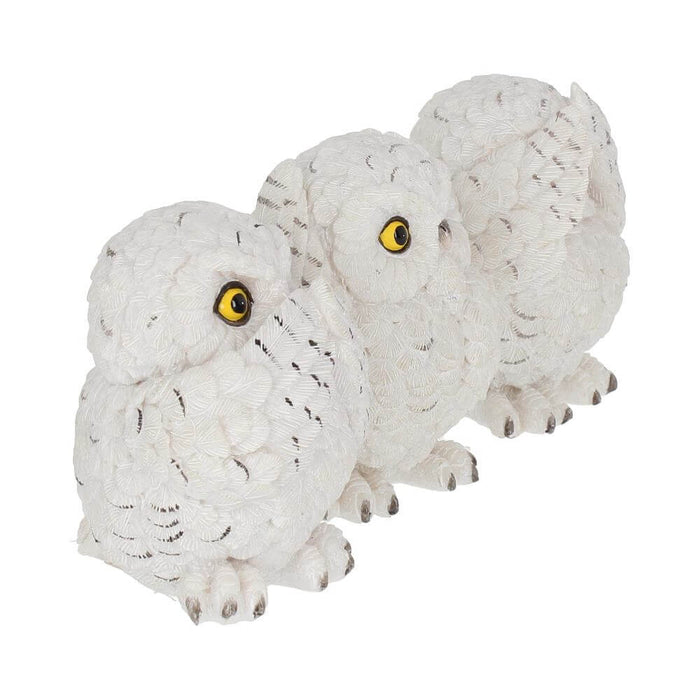 Snowy owls in the poses of Speak No Evil, Hear No Evil, See No Evil, shown from the side