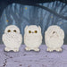 Snowy owls in the poses of Speak No Evil, Hear No Evil, See No Evil, shown on display in a woods scene