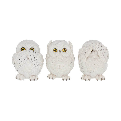 Snowy owls in the poses of Speak No Evil, Hear No Evil, See No Evil