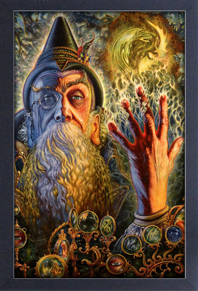 Wizard Framed Print